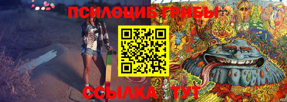 Чебаркуль  Галлюциногенные грибы MAGIC MUSHROOMS  Вход с VPN 